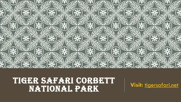Tiger safari Corbett national park