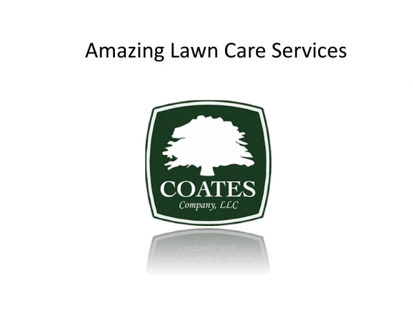 Amazing Lawn Care Services