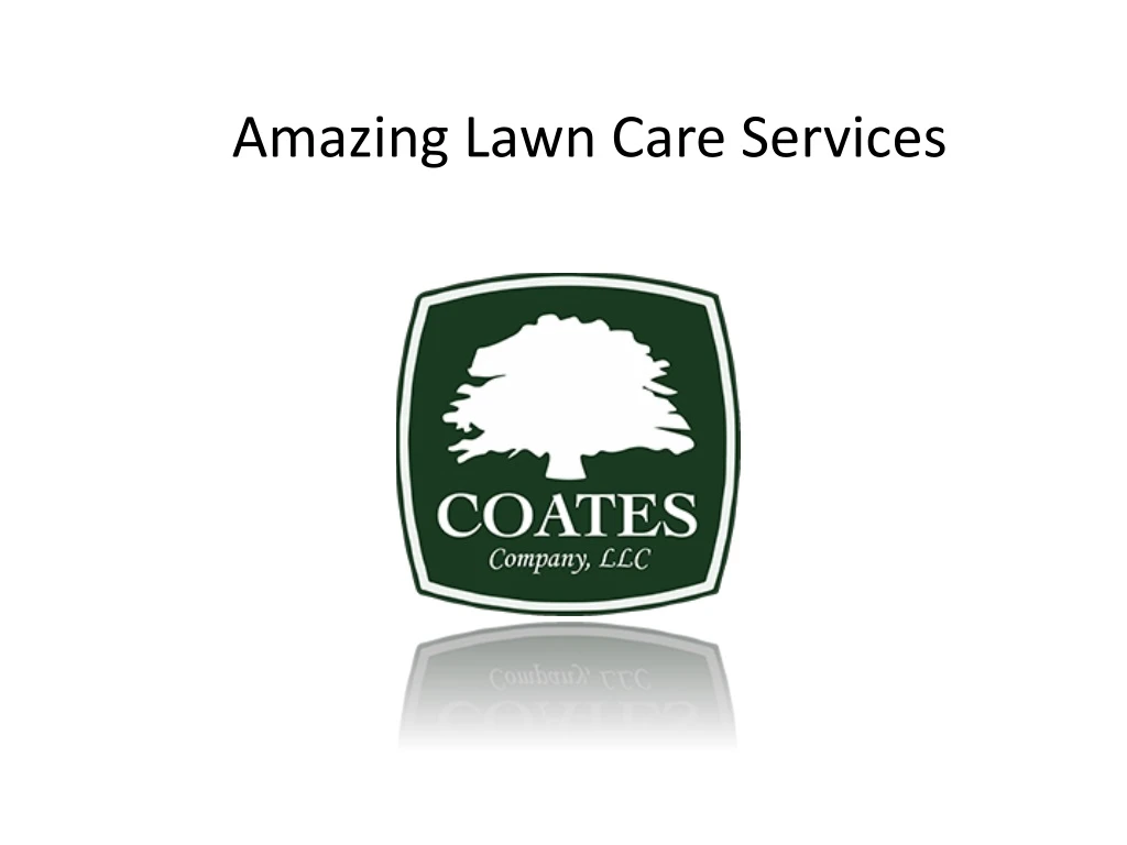 amazing lawn care services