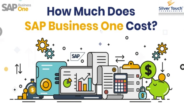 What is the Cost of SAP Business One?