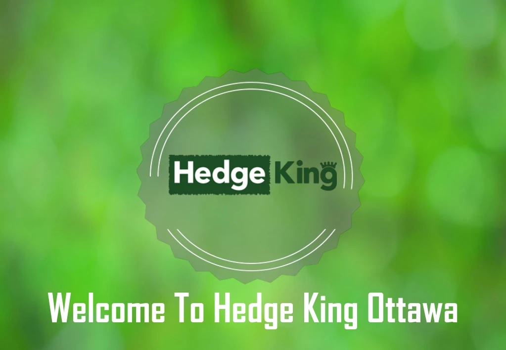 welcome to hedge king ottawa