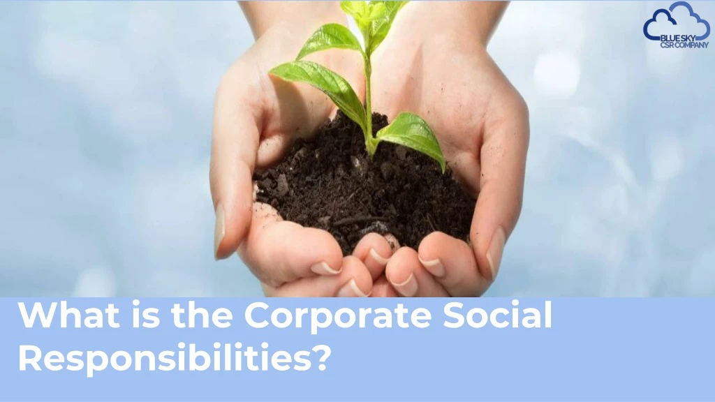 what is the corporate social responsibilities