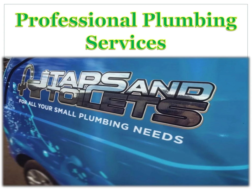 professional plumbing services