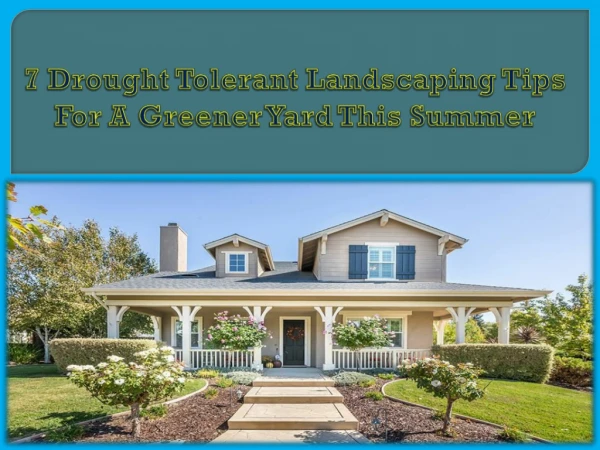 7 Drought Tolerant Landscaping Tips For A Greener Yard This Summer