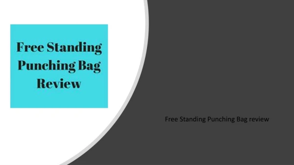 Best Free Standing Punching Bag