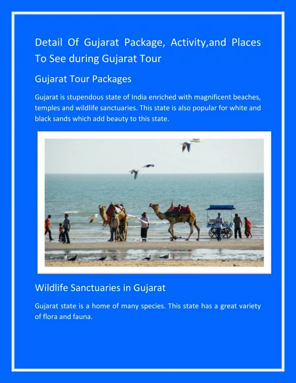 Detail Of Gujarat Package, Activity,and Places To See during Gujarat Tour