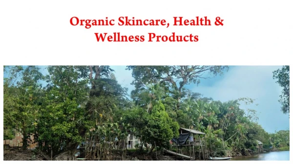 Organic Skincare, Health & Wellness Products www.rterraherbs.com