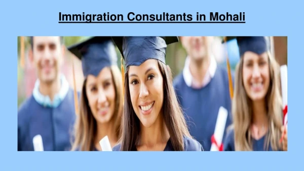 Immigration Consultants in Mohali