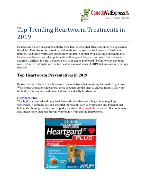 Best and Cheap Heartworm Treatments in 2019 - CanadaVetExpress