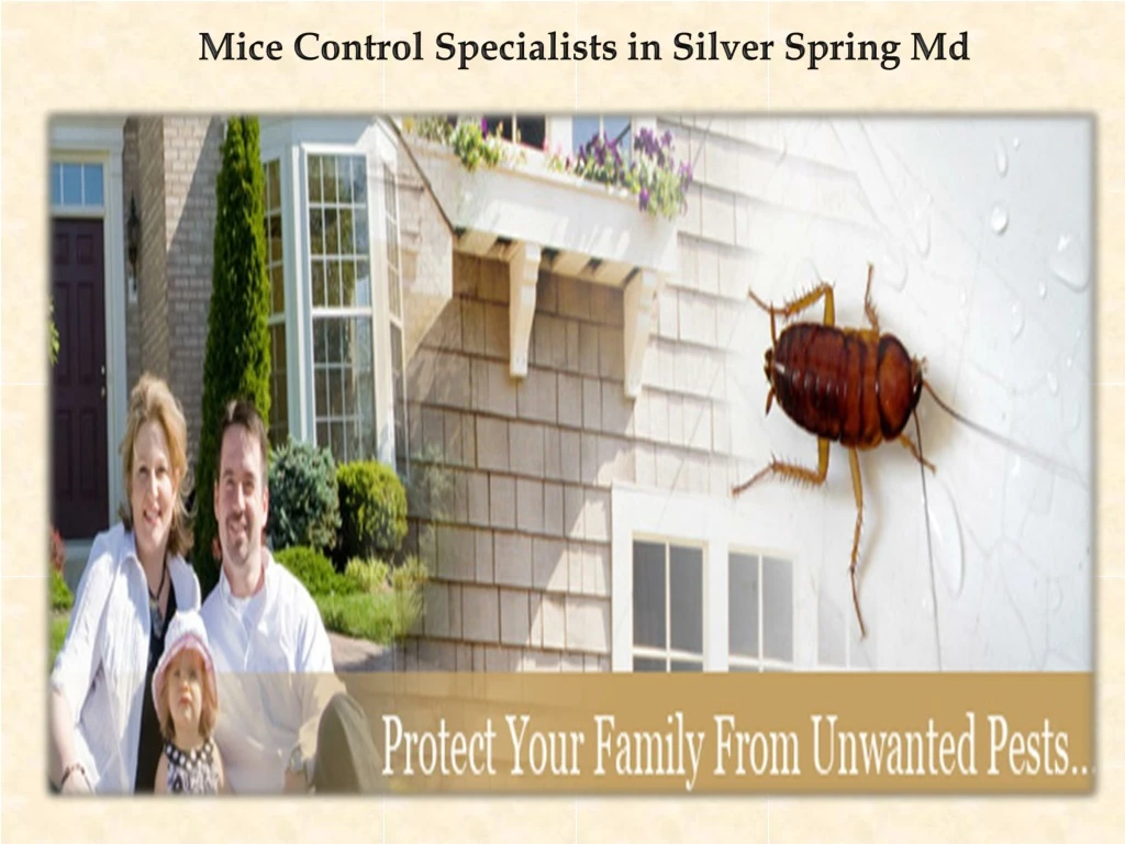 mice control specialists in silver spring md