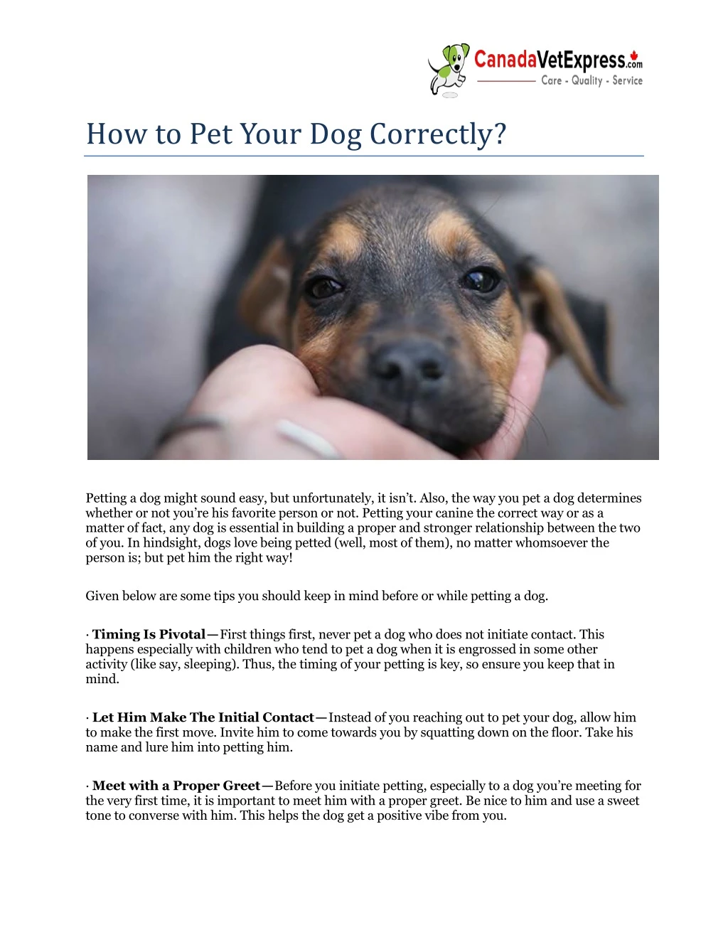 how to pet your dog correctly