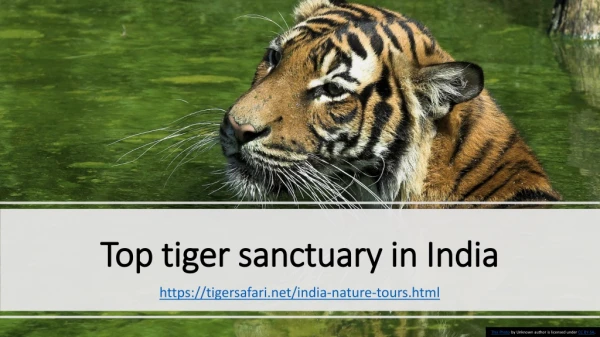 Top tiger sanctuary in India