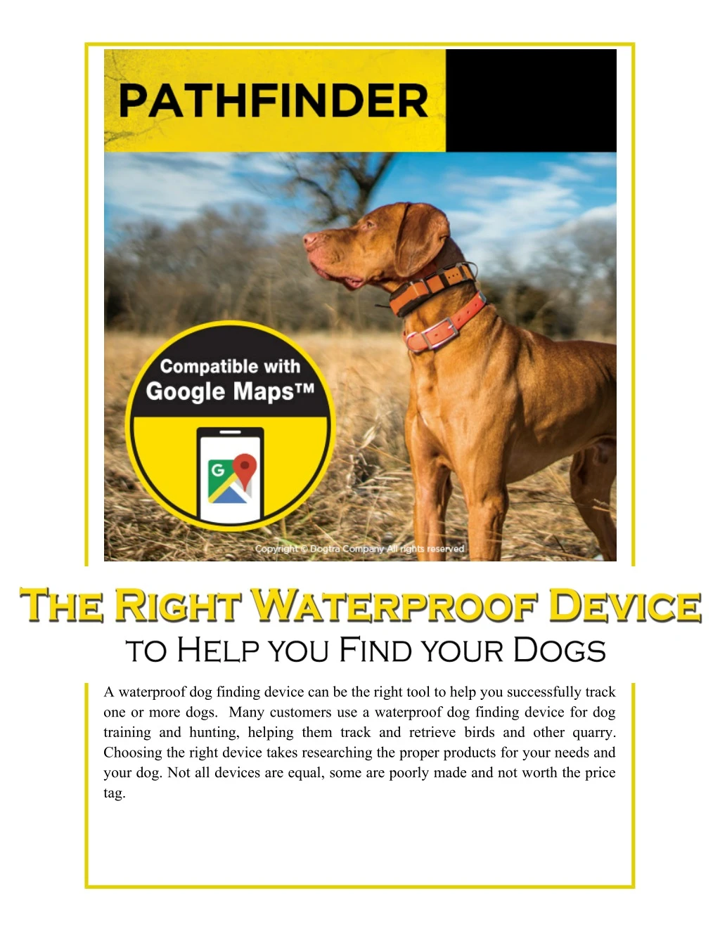 a waterproof dog finding device can be the right