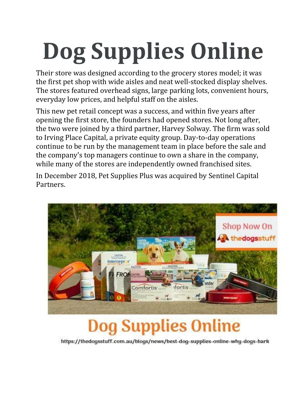 dog supplies online