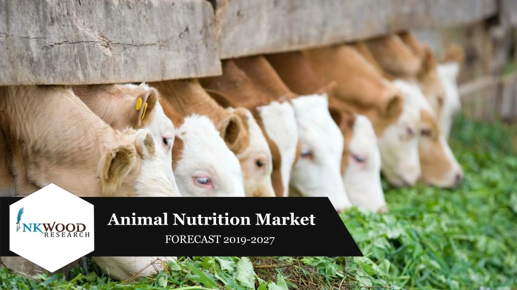 animal nutrition market