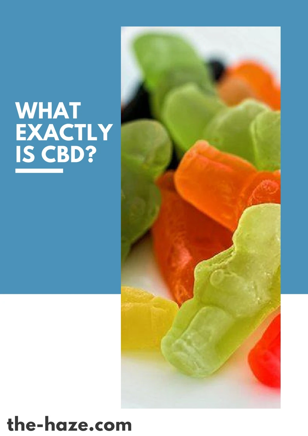 what exactly is cbd