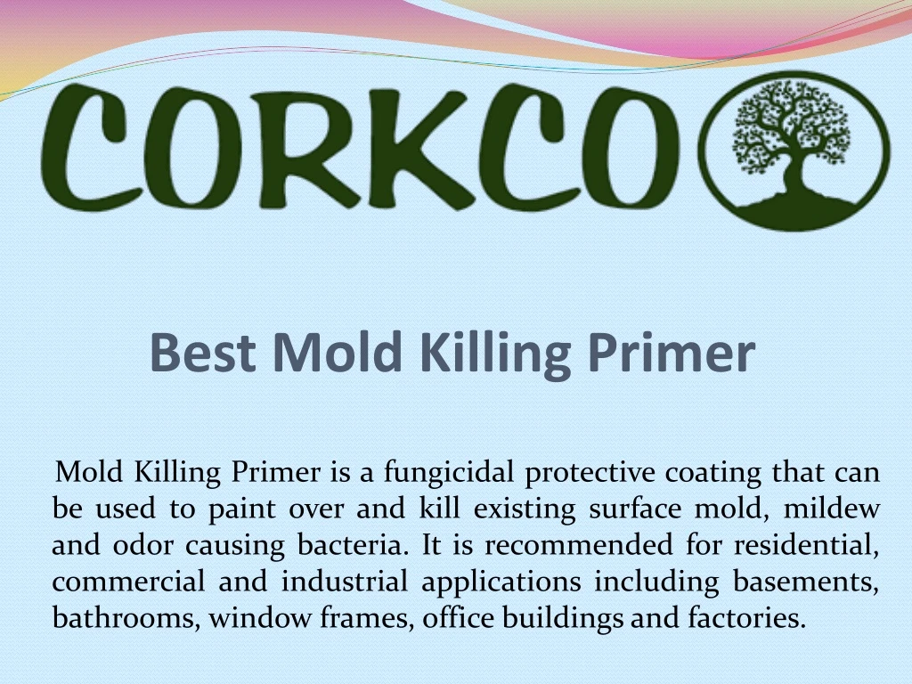 best mold killing primer