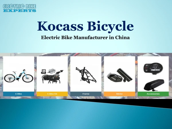 Best Electric Bike Manufacturer in China