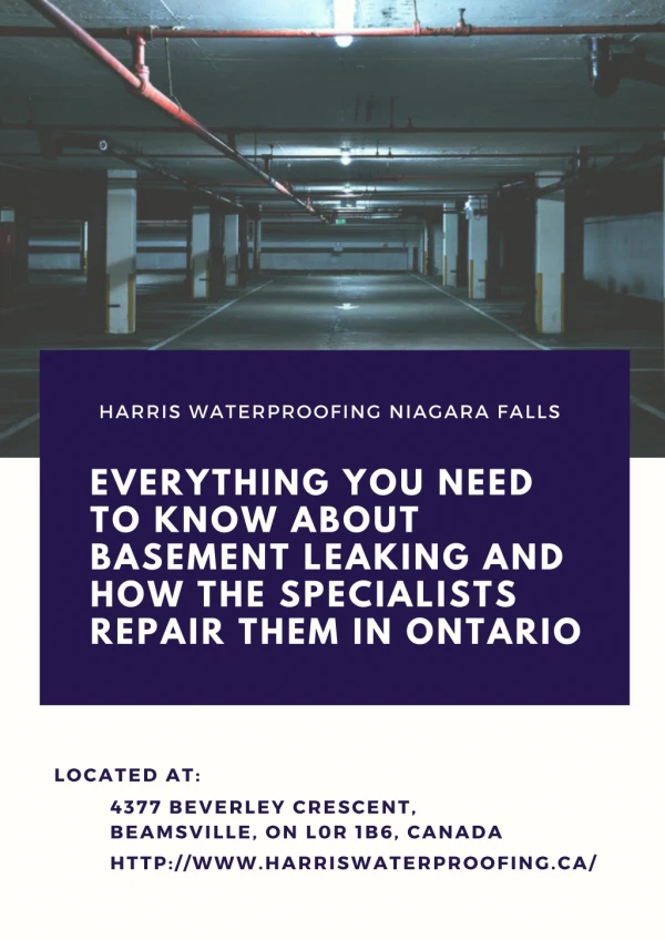 Everything you need to know about basement leaking and how the specialists repair them in Ontario