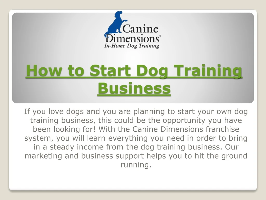 how to start dog training business