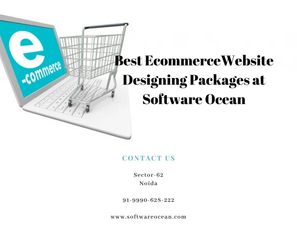 Best Ecommerce Website Designing Packages at Software Ocean