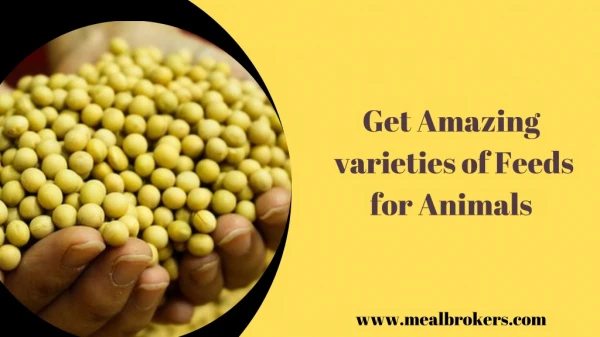 Get Amazing Varieties of Feeds for Animals