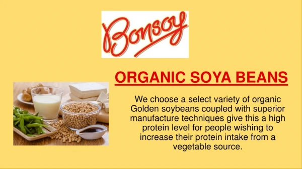 Buy High Protein Soy Milk - Bonsoy