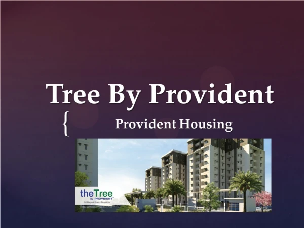 The Tree By Provident