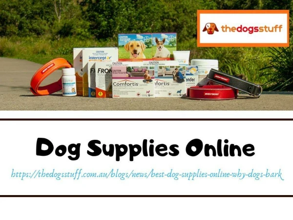 Dog Supplies Online
