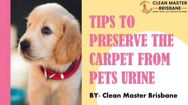 Tips To Preserve The Carpet From Pets Urine