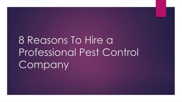 8 Reasons To Hire a Professional Pest Control Company