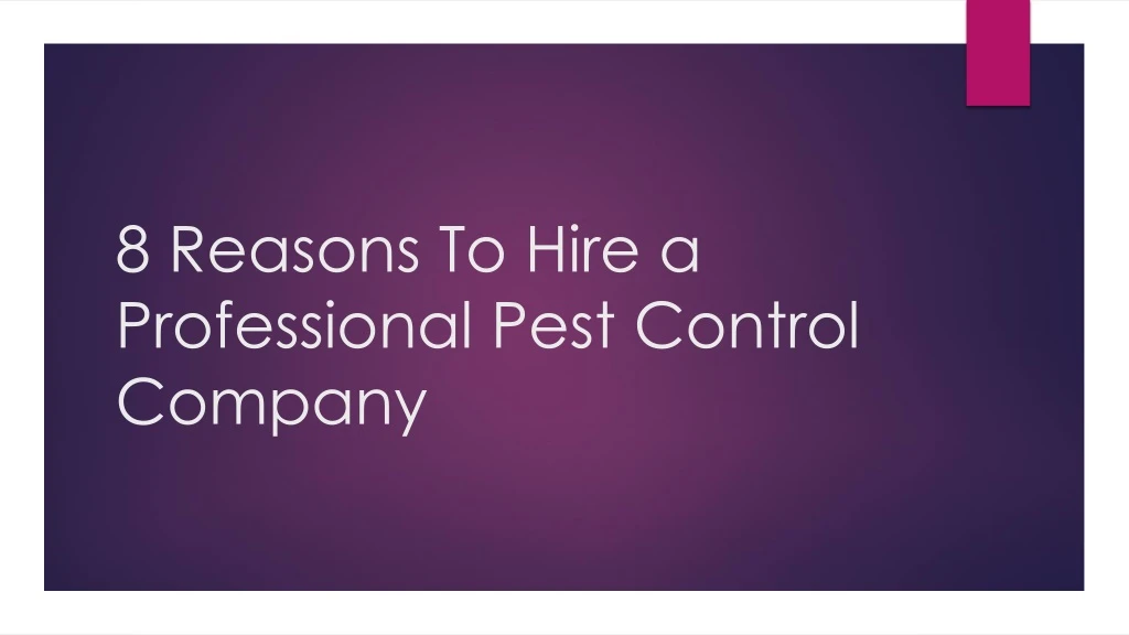 8 reasons to hire a professional pest control company