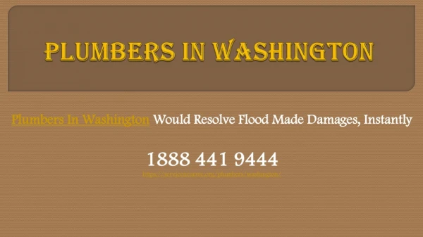 Plumbers In Washington Would Resolve Flood Made Damages, Instantly