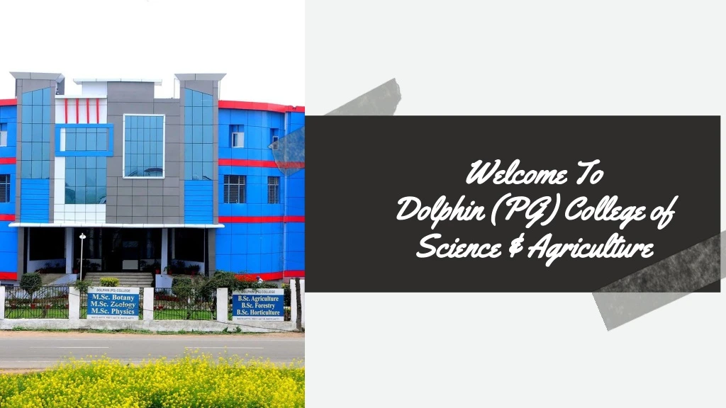 welcome to dolphin pg college of science