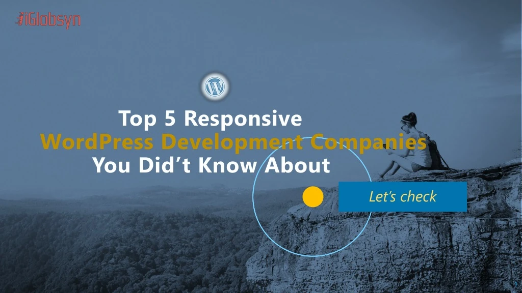 top 5 responsive wordpress development companies you did t know about