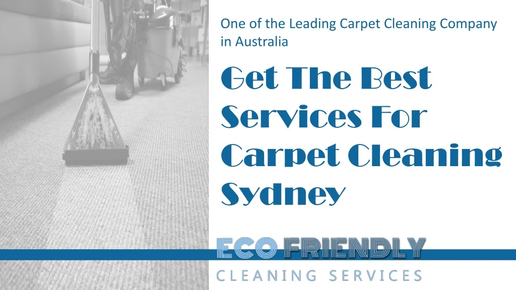 o ne of the leading carpet cleaning company