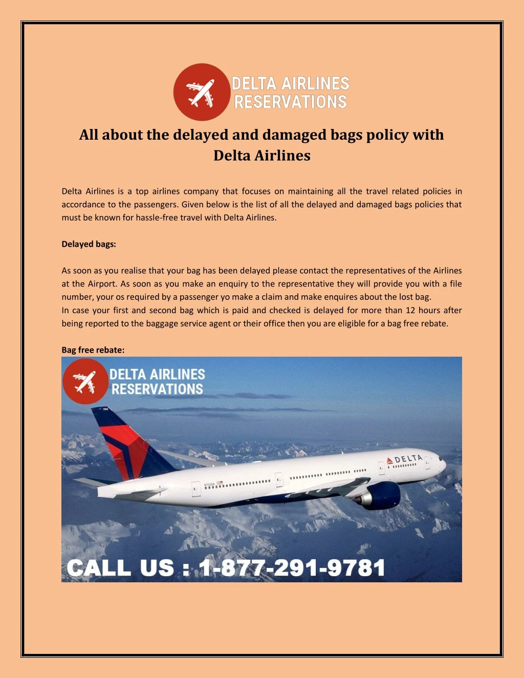 all about the delayed and damaged bags policy