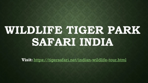 Wildlife Tiger Park Safari India