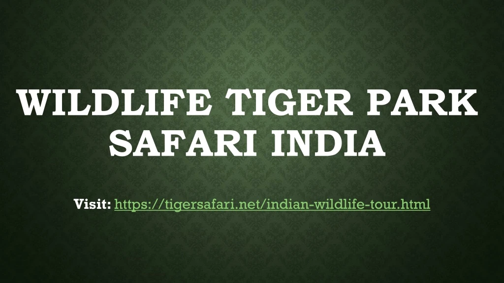 wildlife tiger park safari india