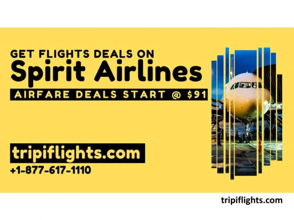 Book Spirit Airlines Flights Tickets - Tripiflights | Must See!