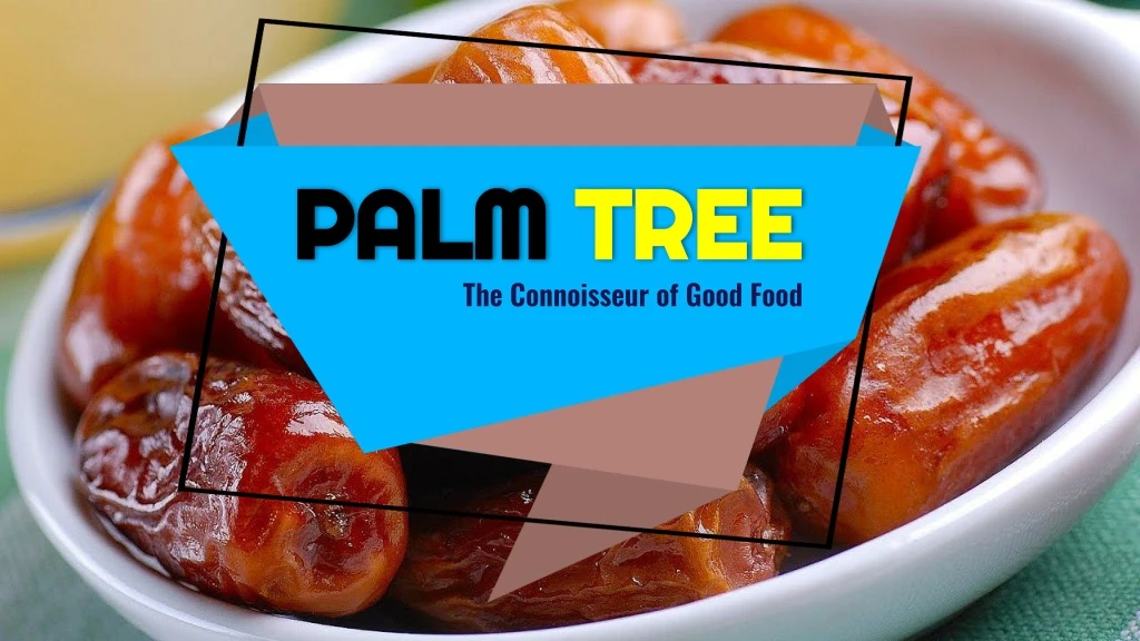 palm palm tree the connoisseur of good food