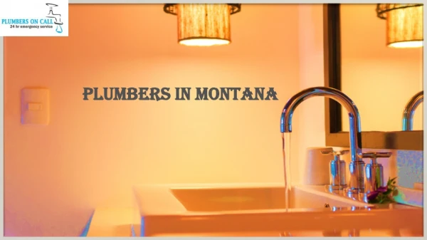 Plumbers in Montana
