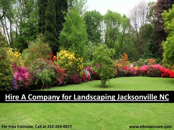 Hire a Company for Landscaping Jacksonville NC