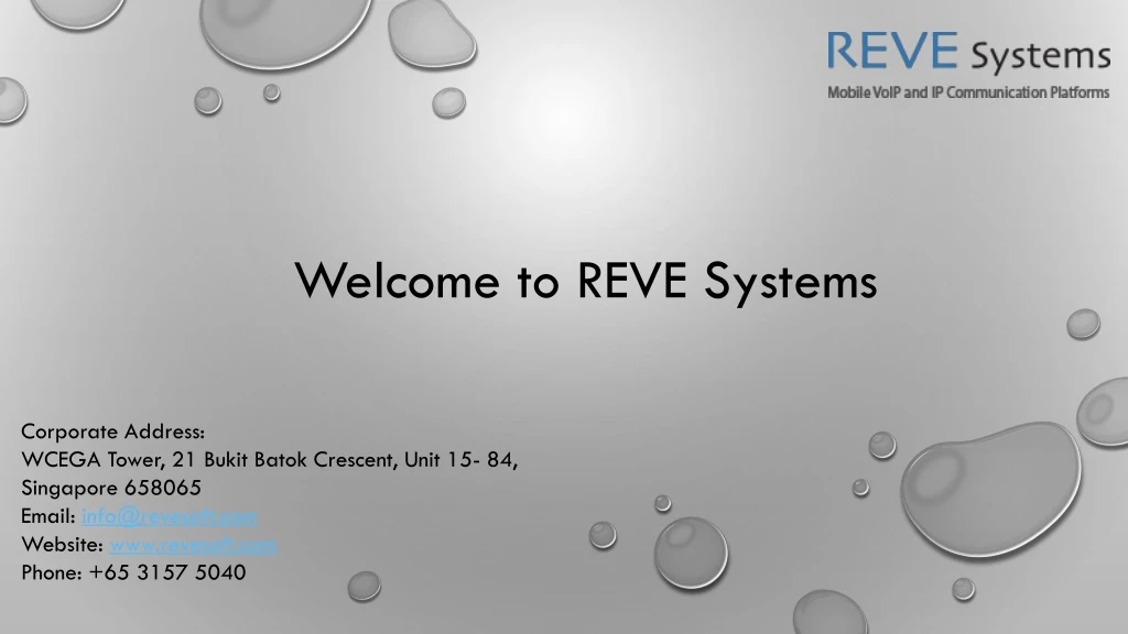 welcome to reve systems