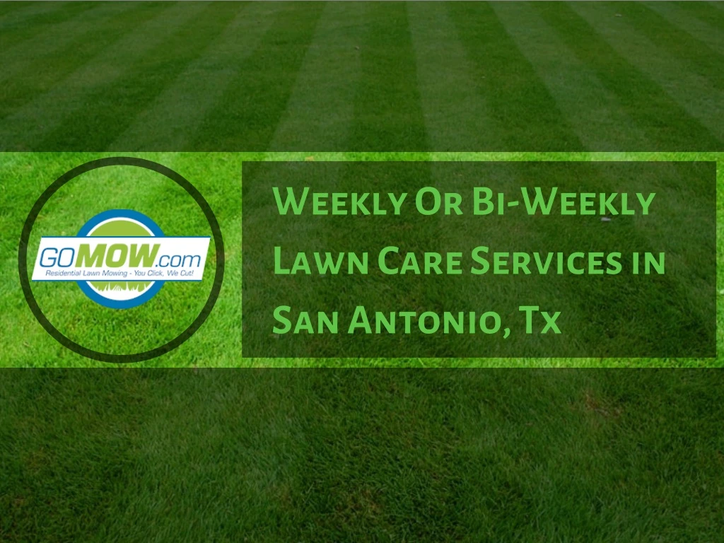 weekly or bi weekly lawn care services