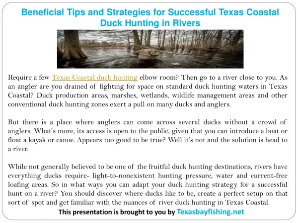 Beneficial Tips and Strategies for Successful Texas Coastal Duck Hunting in Rivers