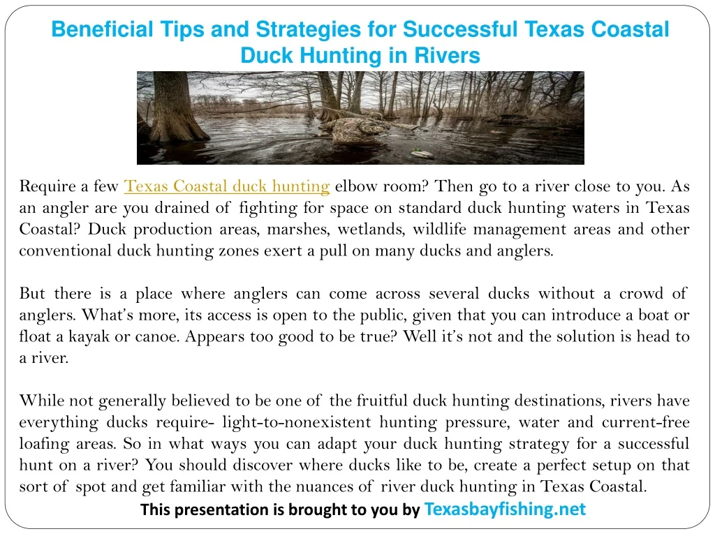 beneficial tips and strategies for successful
