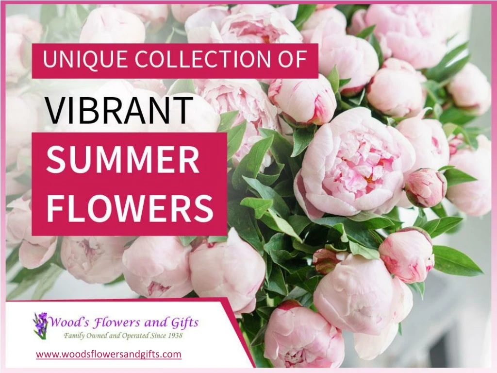unique collection of vibrant summer flowers