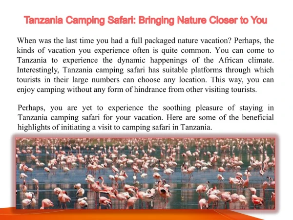 Tanzania Camping Safari: Bringing Nature Closer to You