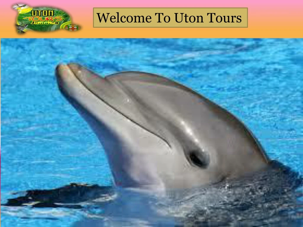 welcome to uton tours